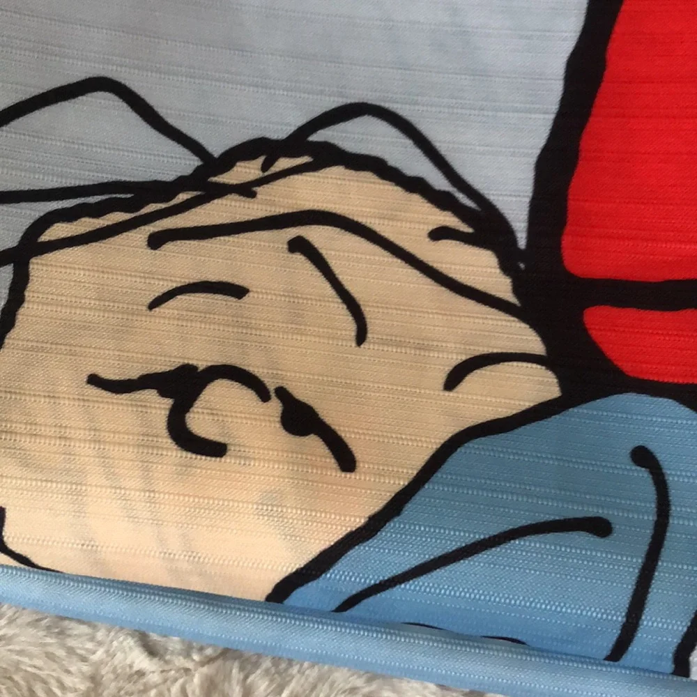 Peanuts Characters Shower Curtain with Snoopy & Charlie Brown